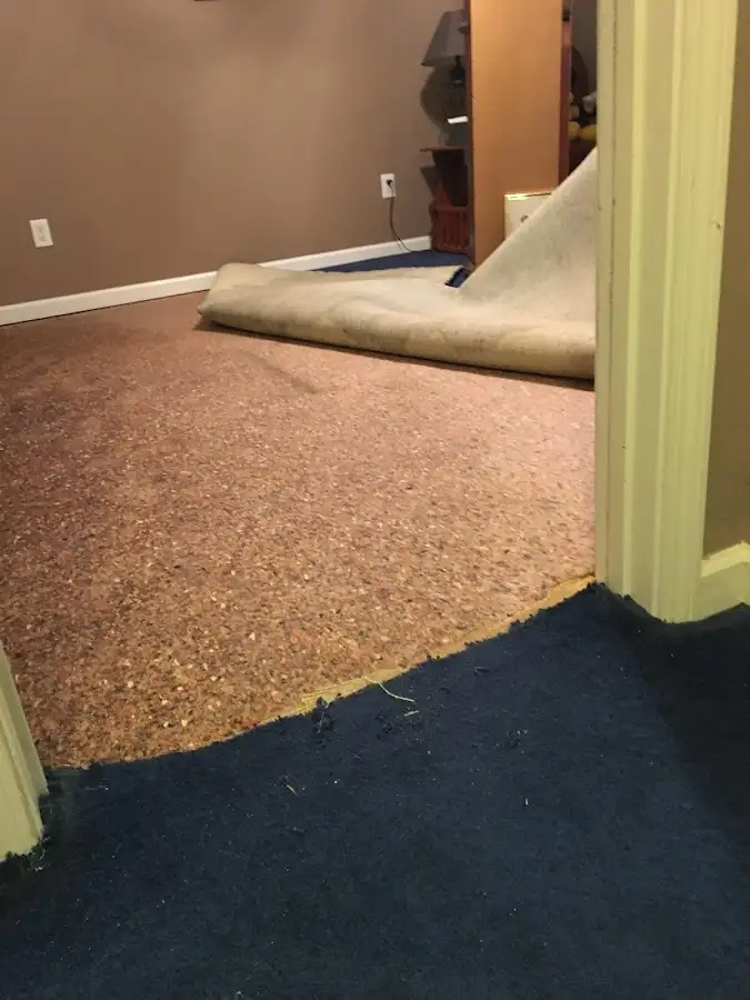 Carpet pad removal revealing water damage during Drying & Dehumidification in Mounds View