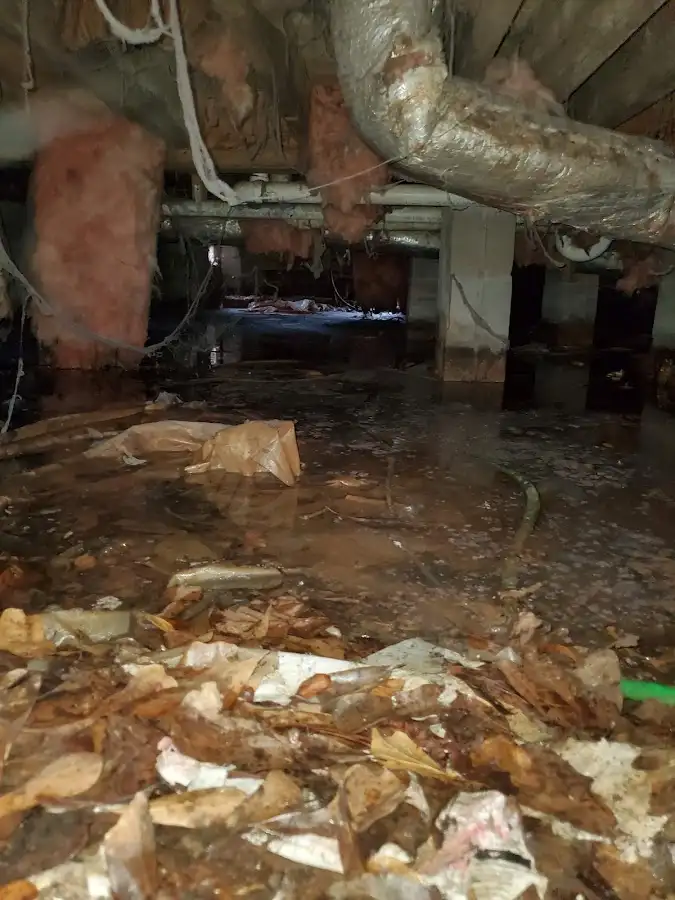 Crawl space flood assessment for Leak Detection & Repair in Mounds View