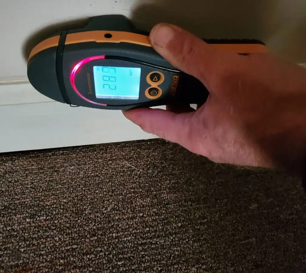 Moisture detection at baseboard during Sewage Cleanup & Sanitation in Mounds View